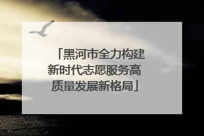 黑河市全力构建新时代志愿服务高质量发展新格局